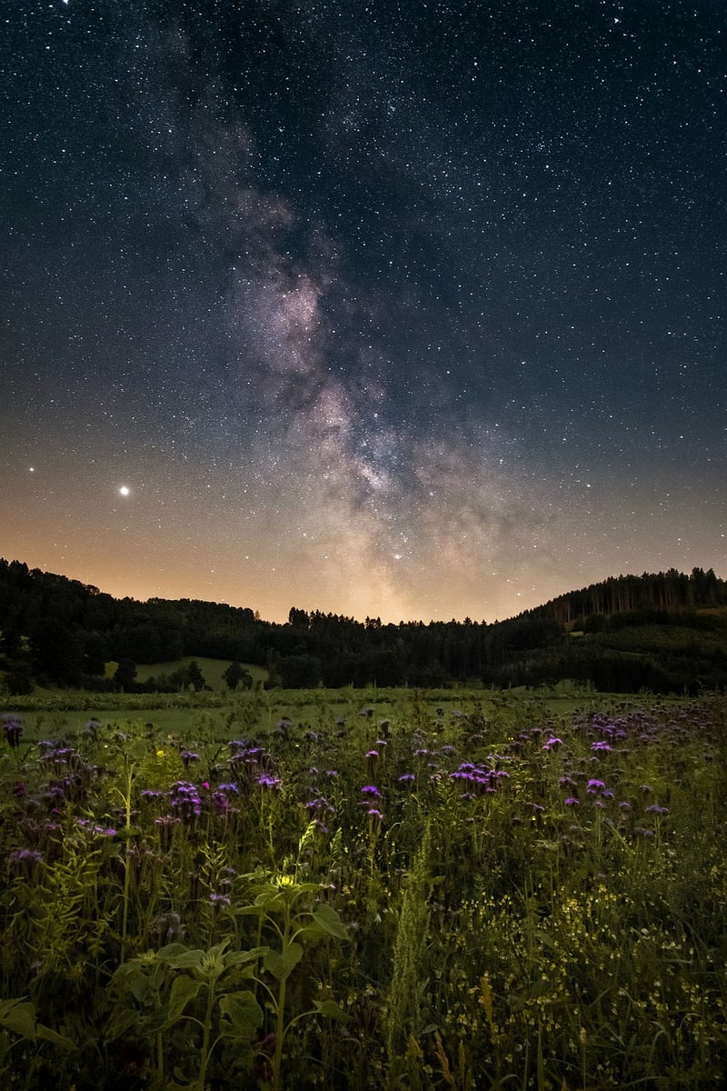 Galactic Phenomena